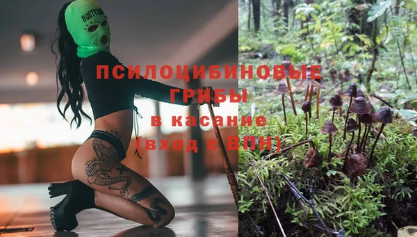 прущая мука Алексин
