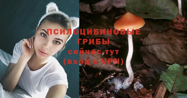 мяу мяу мука Алексеевка